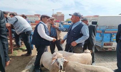 Afyonkarahisarda küçükbaş kurbanlıklar müşterilerini bekliyor