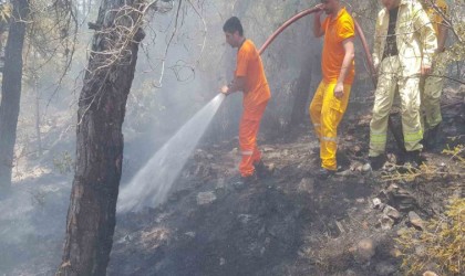 Alanyadaki orman yangını büyümeden kontrol altına alındı