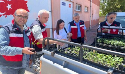 Altıntaşta ilkokul öğrencilerine sebze fidesi dağıtıldı