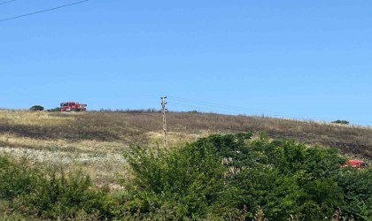 Arsuzda ot ve çalı yangını, ormanlık alana sıçramadan söndürüldü