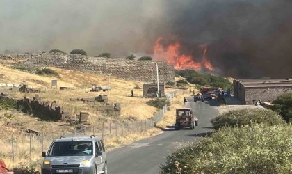 Ayvacıkta makilik alanda çıkan yangın antik kente sıçradı