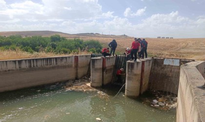 Batmanda 114 kişilik ekip 5 gündür kayıp Suriyeli çobanı arıyor