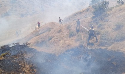 Bingölde çıkan orman yangını söndürüldü