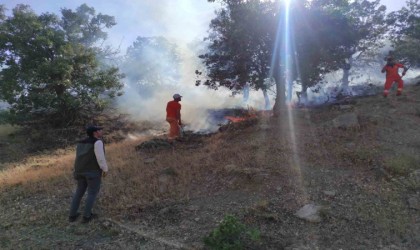 Bingölde iki ayrı bölgede çıkan yangınlar söndürüldü