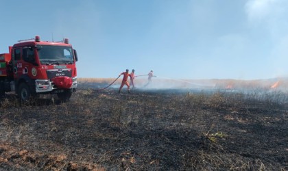 Bingölde yaklaşık 100 dönümlük tarım alanı yandı