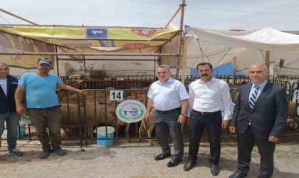 Bozüyükte kurban satış ve kesim yerleri denetlendi