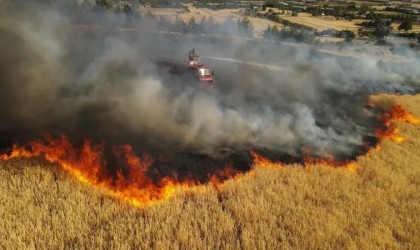 Bucakta aynı günde çıkan 6 farklı yangında 400 dekar alan yandı