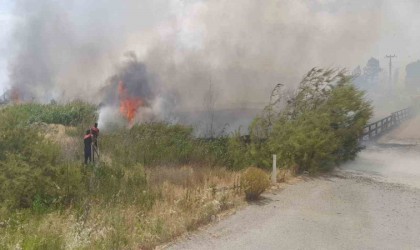 Burdurda gün içinde çıkan yangınlarda 700 dekar alan ve 1 ev ile odunluk yandı