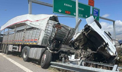 Büyükbaş hayvan yüklü tır devrildi: 2 kişi yaralandı, 7 büyükbaş hayvan telef oldu