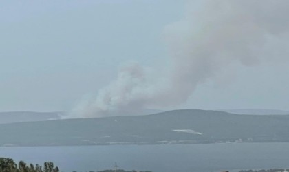 Çanakkalede orman yangını