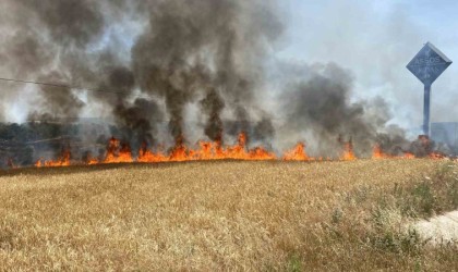 Çanakkalede tarım alanında başlayan yangın ormanlık alana ilerliyor