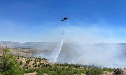 Çobanın çay ateşi ormana sıçradı