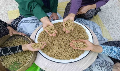 Coğrafi işaretli Ulukale dutu, Tuncelinin köyünden çıkıp dünyaya ihraç ediliyor