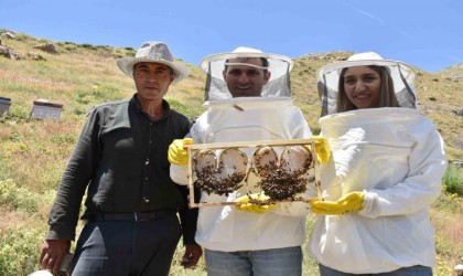 Dünyanın en kaliteli balını elde edebilmek için yoğun çaba sarf ediyorlar