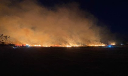 Edirnede 100 dönüm ekili tarım arazisi yandı