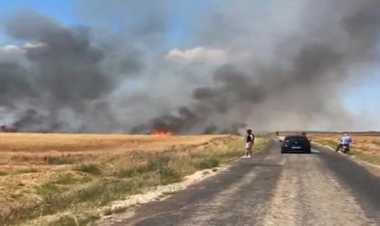 Edirnede tarla yangını: 50 dönüm buğday küle döndü