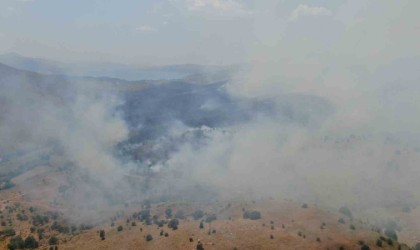 Elazığda orman yangını: Ekiplerin havadan ve karadan müdahalesi sürüyor