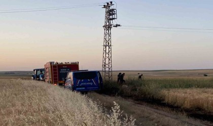 Elektrik akımına kapılan kuşlar yangına neden oldu