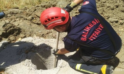 Erdekte çukura düşen yavru domuzun imdadına itfaiye yetişti