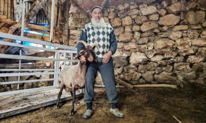 Fikir sahiplerini ikiye bölen soru: 4 boynuzlu koçun durumu Alo Fetva 190 hattına soruldu