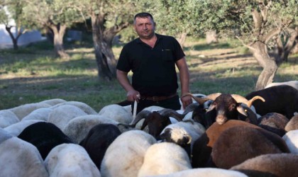 Geçtiğimiz yıl kurban satışının sessiz geçtiği deprem bölgesinde kurban hareketliliği başladı