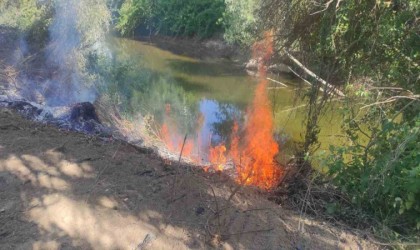 Göksu Nehri kenarında çıkan yangın kısa sürede söndürüldü