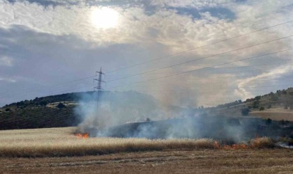 Gölbaşı ilçesinde arpa tarlası yandı