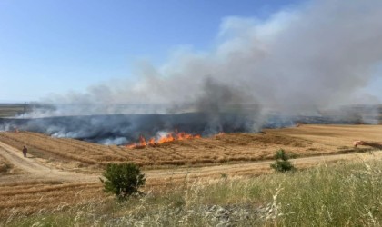 İpsalada bir gün arayla 130 dönüm buğday ile 250 ot balyası yandı