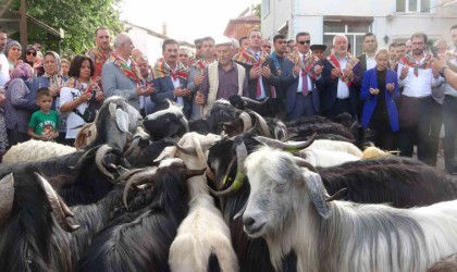 Ispartada 400 yıldır süren Geleneksel Kurban İndirme Geleneği gerçekleştirildi