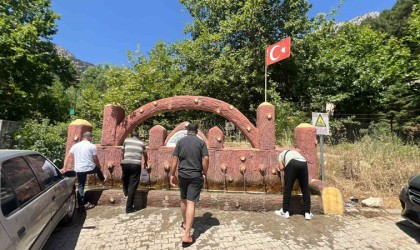 Kahramanmaraştaki ‘ardıç suyu mesire alanı piknikçilerin uğrak yeri oldu