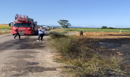 Kırklarelinde buğday ekili tarlada yangın