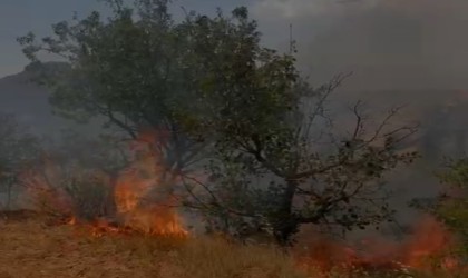 Mardinde ağaçlık alanda çıkan yangın söndürüldü