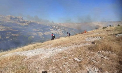 Mardinde ormanlık alanda çıkan yangın devam ediyor