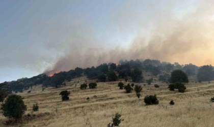 Mardinde ormanlık alanda çıkan yangın söndürüldü