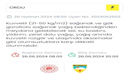 Meteorolojiden Ordu için sarı uyarı