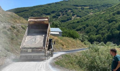 Muşta etkili olan sıcaklar asfaltı eritti