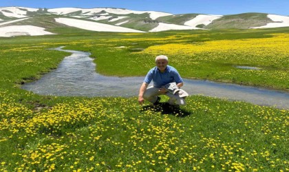 Nebirnav Yaylasında 4 mevsim bir aradı