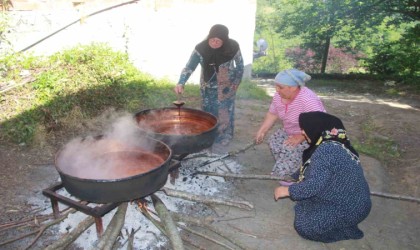 Ordulu kadınların dut pekmezi mesaisi