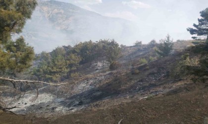 Ormanlık alanda çıkan örtü yangını söndürüldü