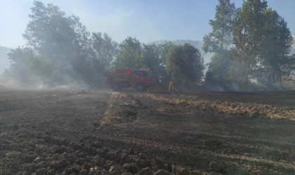 Osmanelide 20 dönümlük buğday tarlası yangında kül oldu