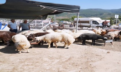 Osmaniyede Kurban Bayramı öncesi hayvan pazarında denetim