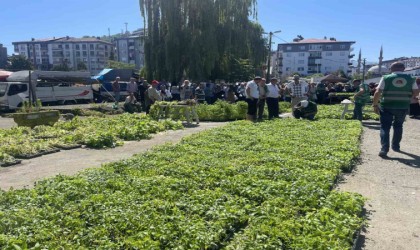 Rizede ata tohumlarından üretilen 40 bin sebze fidanı vatandaşlara dağıtıldı