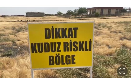 Şanlıurfada bir kuduz vakası daha