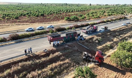 Şanlıurfada kurbanlık boğaları taşıyan tır ile traktör çarpıştı