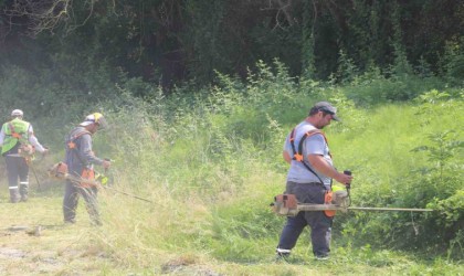 Serdivanda sokakları yabani otlardan arındırılıyor