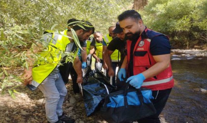 Siirtte şarampole yuvarlanan otomobilin sürücüsü hayatını kaybetti