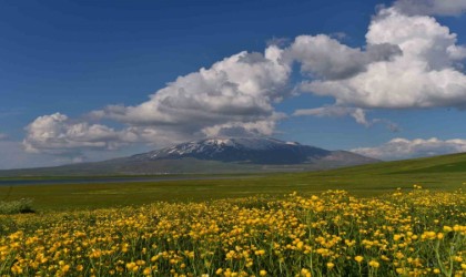 Sütey Yaylası ve Süphan Dağından hayranlık uyandıran görüntüler