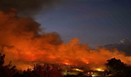 Uşakta ormanlık alana sıçrayan yangına müdahale sürüyor