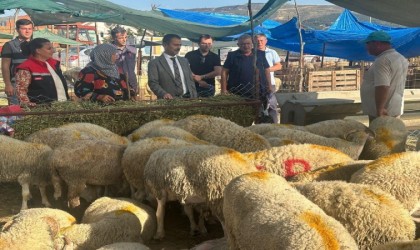 Vali İlhami Aktaş, Canlı Hayvan Pazarı ve Cuma Pazarında incelemelerde bulundu