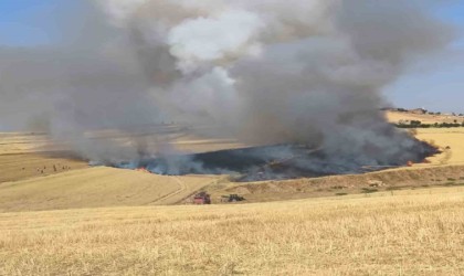 Yangında buğday ekili arazi kül oldu, tarla sahibi biçerdöver şoförünü darp etti